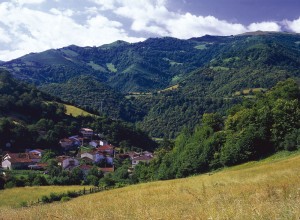 Paisaje de Aller