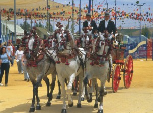 Horse carts, Cordoba's fair