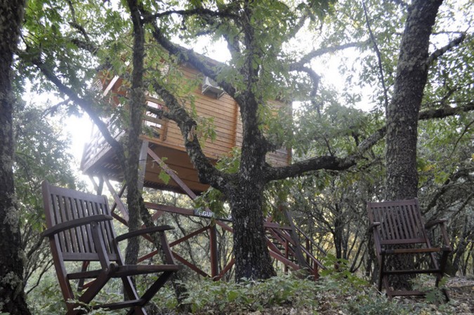 Cabañas de madera Ecolodge