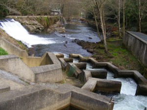 Río Eo, Asturias