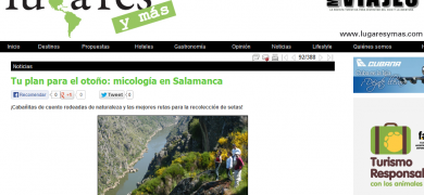 BungalowsClub en lugaresymas.com