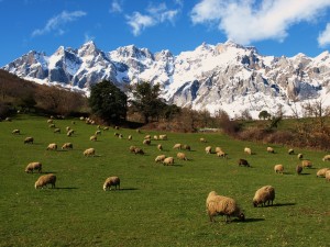 Picos de Europa, Asturias