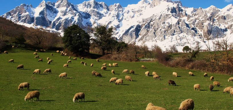 Picos de Europa, Asturias