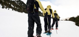 Excursión raquetas de nieve El Solsonés