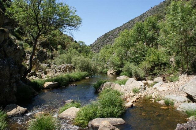 Ciudad Real, villa medieval