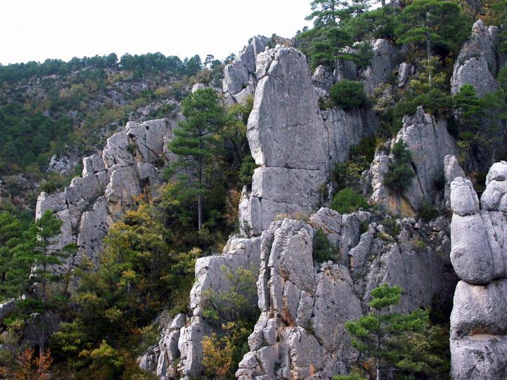 Ruta verde por Guadalajara