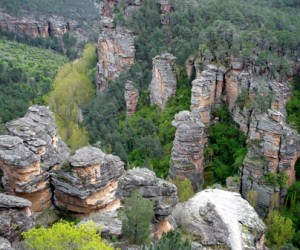 Parque Natural del Alto Tajo. Imagen de Turismo Castilla-La Mancha