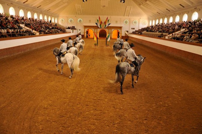 Exhibición de caballos cartujanos. Imagen de la Real Escuela Andaluza del Arte Ecuestre