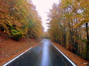 Navarra en otoño. Esta imagen tiene Licencia CC en el Flickr de Fernando Goñi Erice