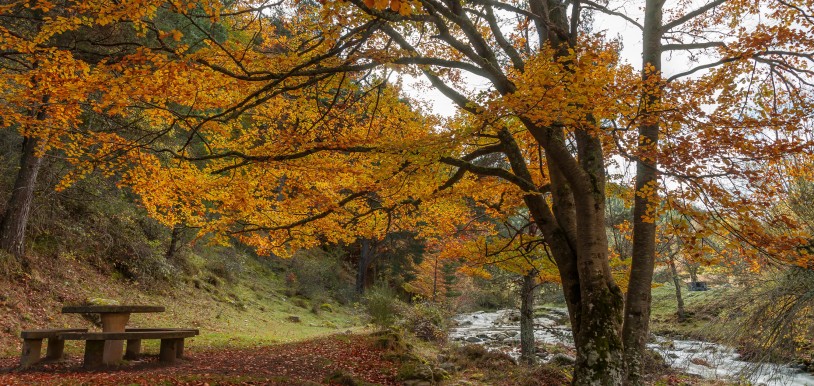 otoño Bungalowsclub