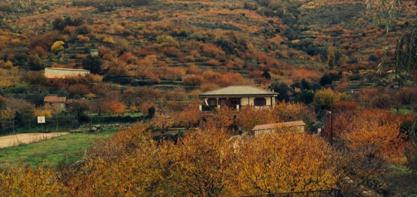 Otoño en el Valle de Jerte. Imagen de Bungalows Río Jerte