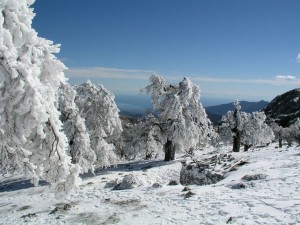 Imagen de la Sierra nevada. Imagen de Sierra de las Nieves