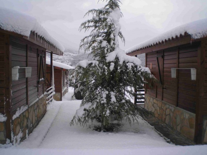 ¡Disfruta de la nieve en un completo bungalow!