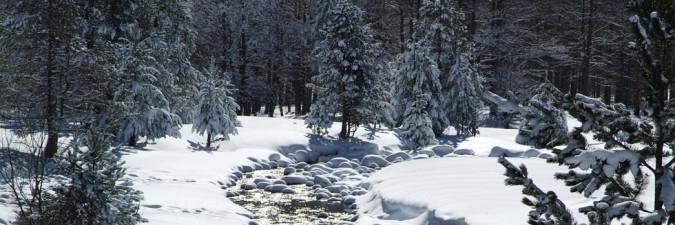 Val d'Arán en invierno. Imagen de Bungalows Verneda