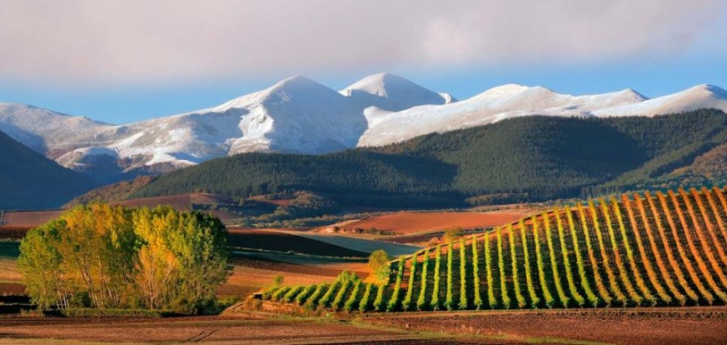 Vignobles de la Rioja Image La Rioja Turismo