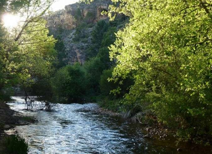 Descubre la belleza de la naturaleza de Albacete en tu próxima escapada con BungalowsClub