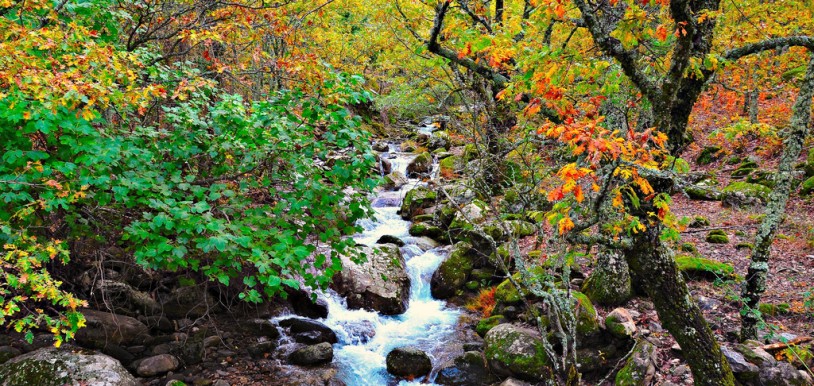 Descubre la belleza del otoño en el Valle del Jerte. Esta imagen tiene Licencia CC en el Flickr de Raúl A.-