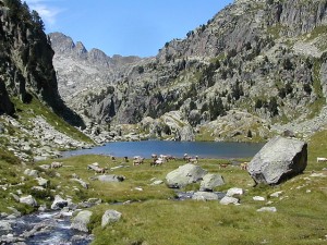 640px-Catalonia_pastures_dins_el_parc_nacional_aiguestortes