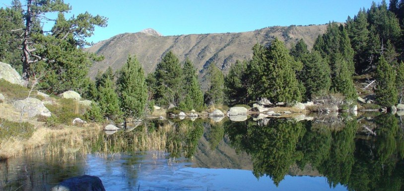 ¿Qué mejor plan que Lleida en plena naturaleza? Imagen de Bungalows La Presalla