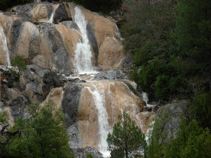 Conoce un poco más sobre Jaén