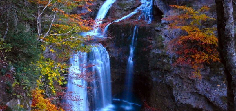 Log cabin holidays are the best to discover a National Park in Spain