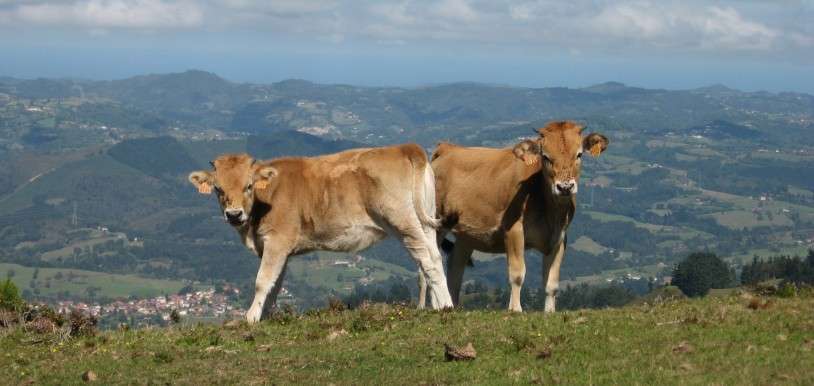 Asturias, ¡un destino al que no podrás renunciar!