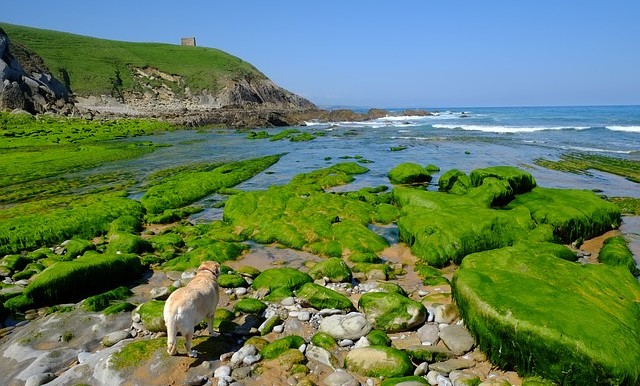 ¡Ven a disfrutar de los paisajes de Cantabria!