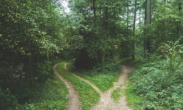 Ruta por la Vía Verde de la Safor