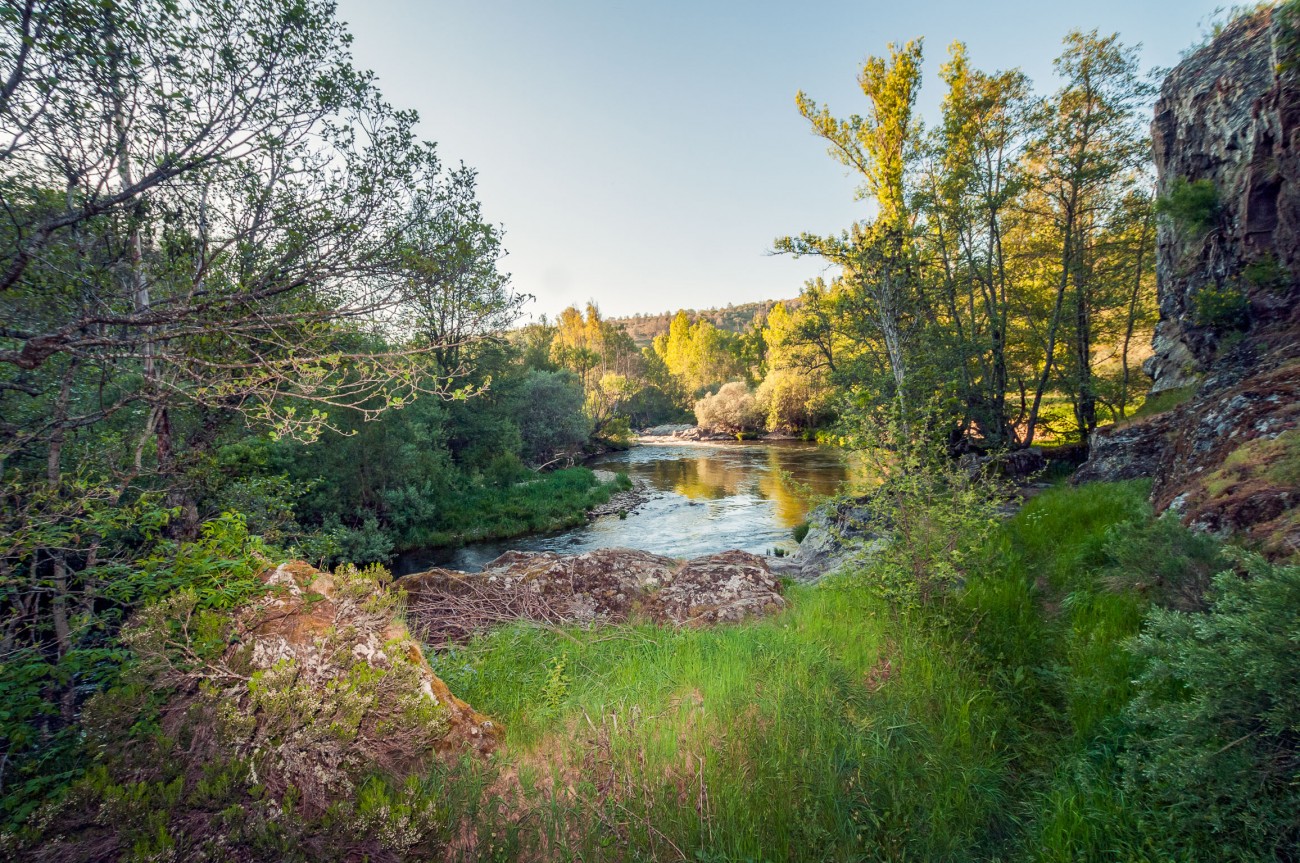 Conoce León, ¡una ciudad que te sorprenderá al segundo!