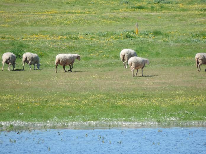 Disfruta de Cáceres desde su nuevo establecimiento: Apartamentos Barbancho