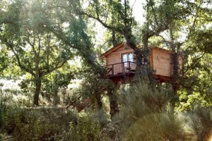 Cabañas en los árboles de extremadura