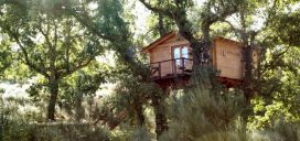 Cabañas en los árboles de Extremadura