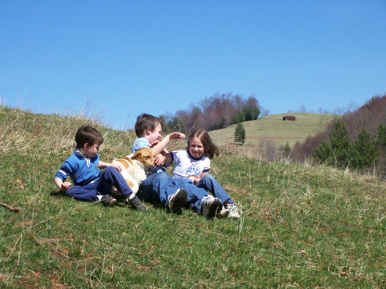 Viaje familiar. ¡Empieza la diversión!