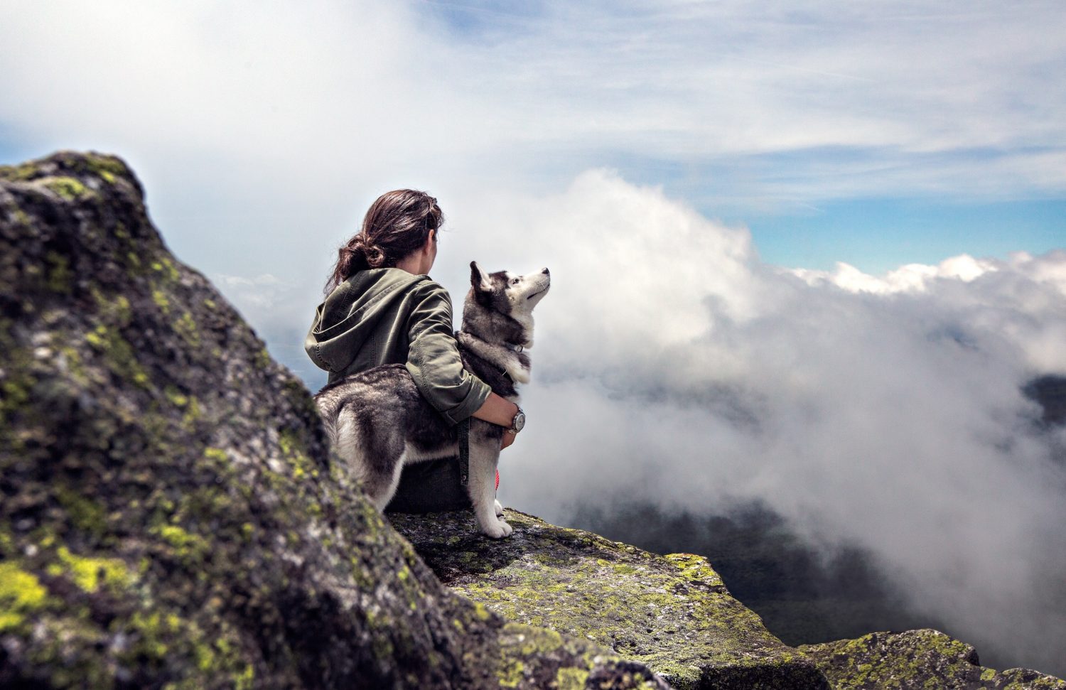 De escapada a la montaña con mi mascota