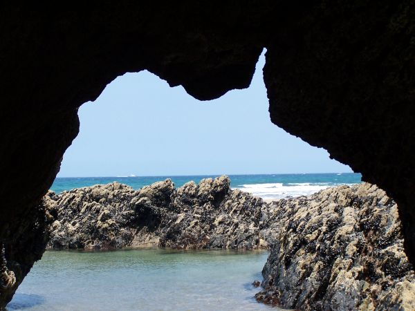 Este verano, ¡nos llevamos la mascota a Asturias!