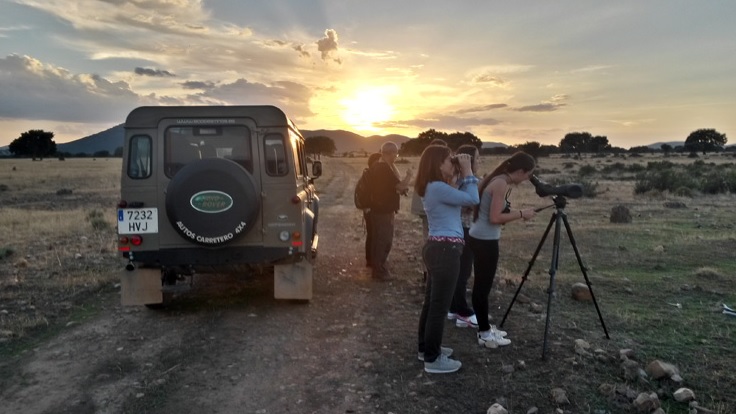13 Rutas fantásticas para conocer el Parque Nacional de Cabañeros