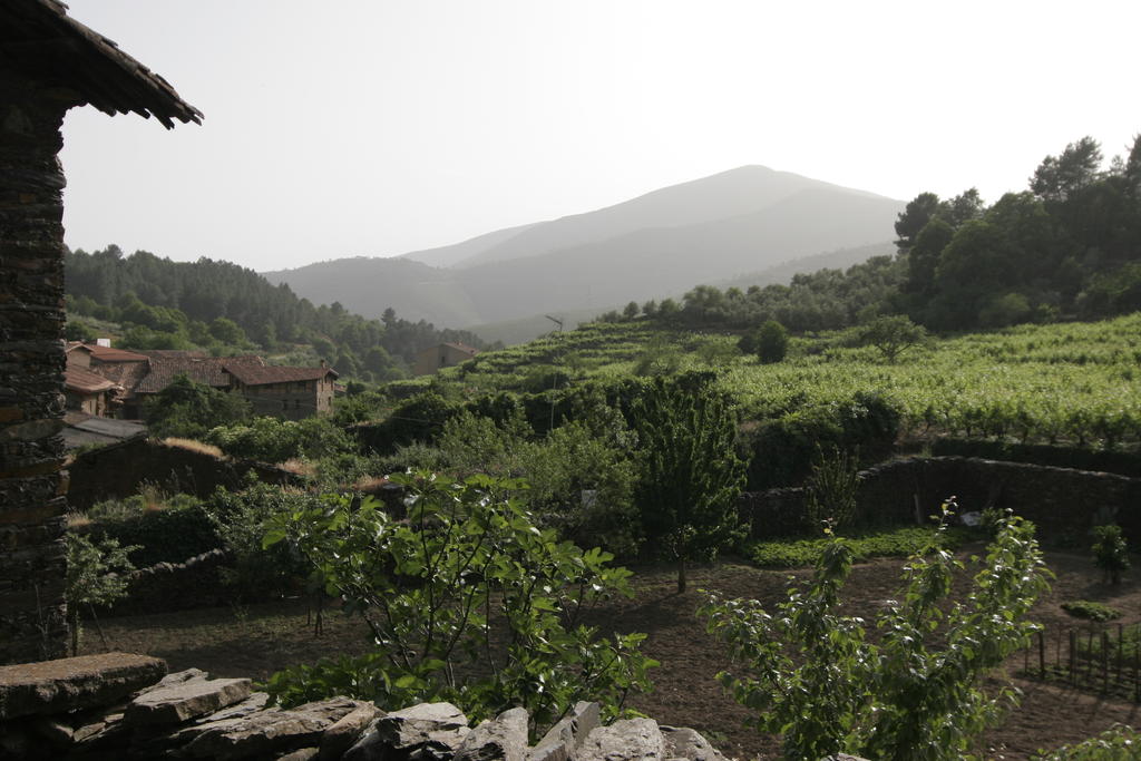 ¡Tenemos la casa rural perfecta en Cáceres para este verano!