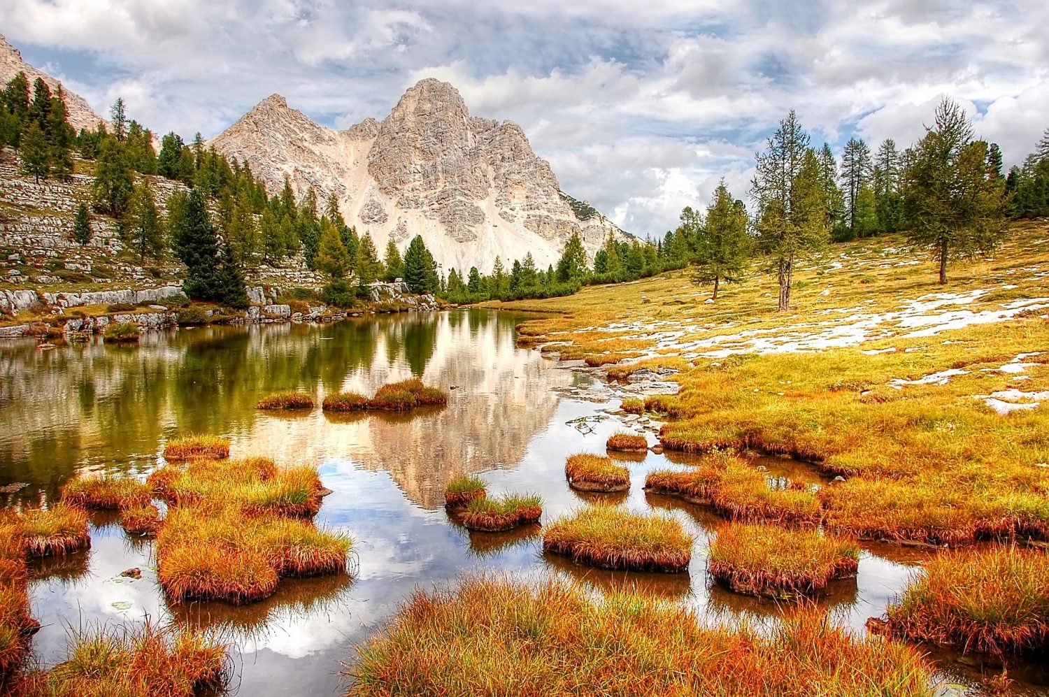 Next stop: Mountain getaway with yout pet 🐱