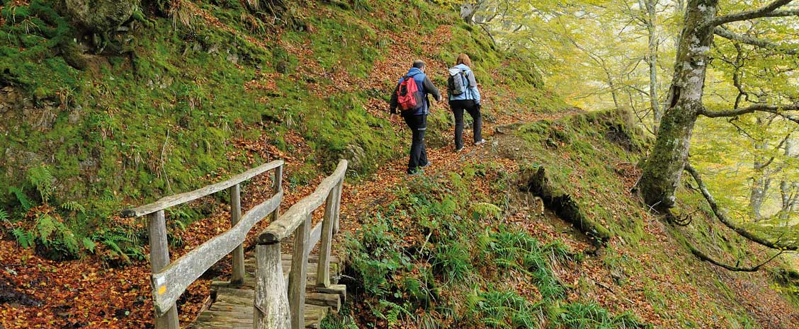 Rutas ideales para enamorarte de Asturias