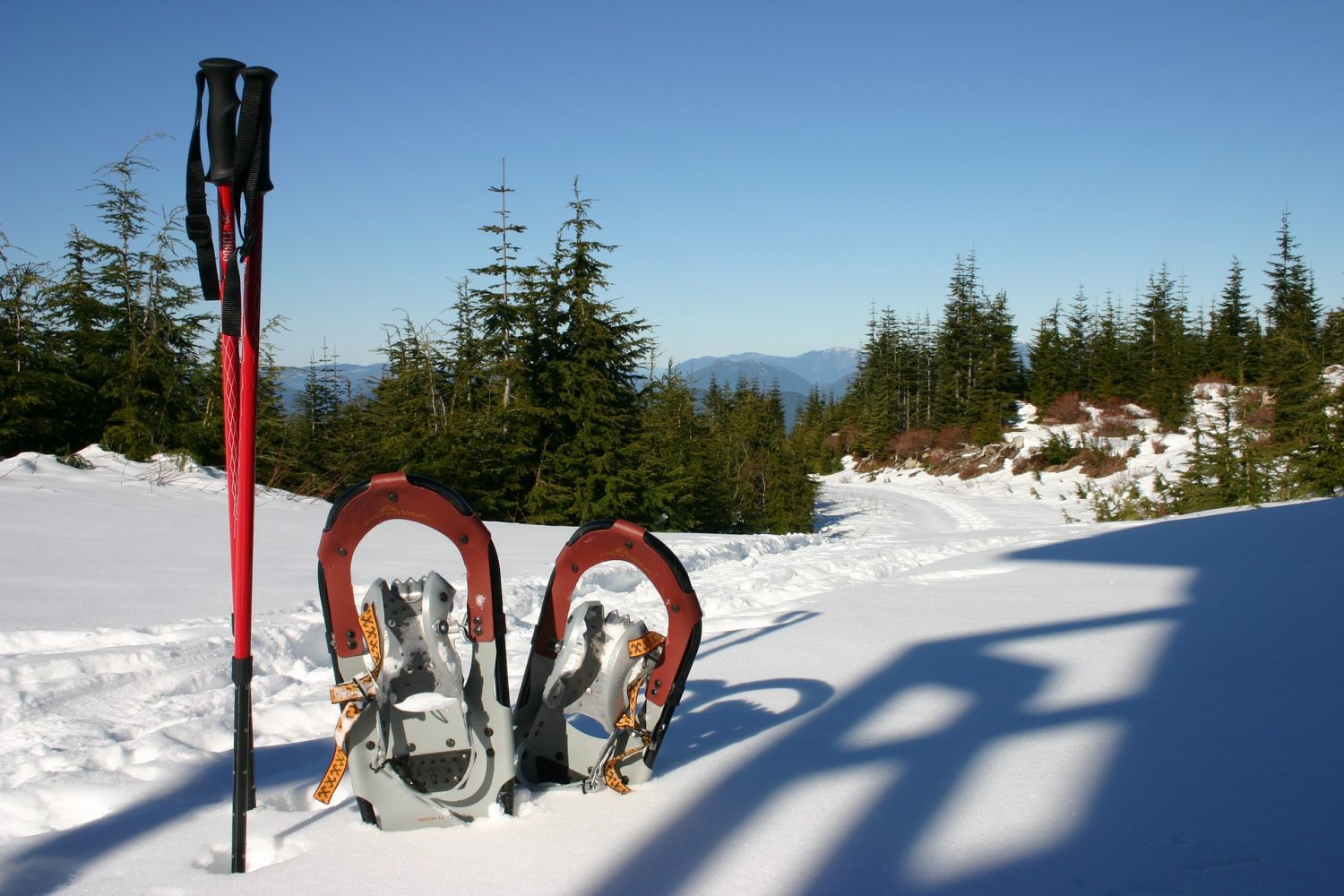 Ascenso con raquetas de nieve Huesca nivel medio desde 60€ 