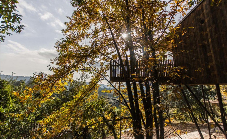 Disfruta de las mejores vistas desde una cabaña en los árboles
