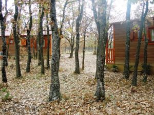 bungalows madera montaña segovia madera cabaña