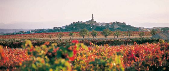 haro-la-rioja-vino-fiesta