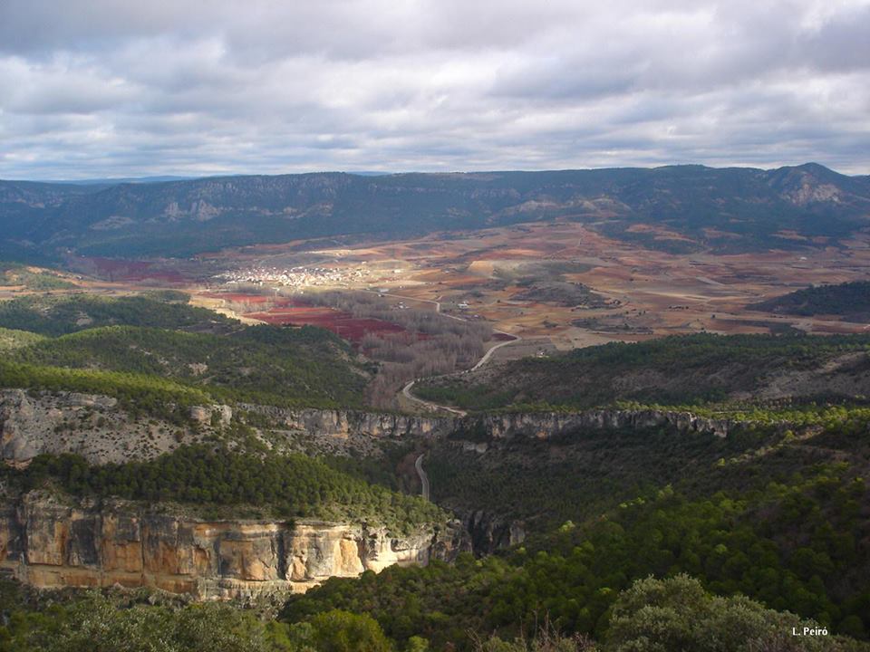 ¡Vive un viaje entre animales por todo el país!
