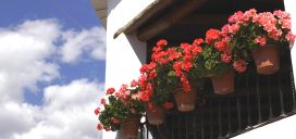 balcon macetas casa alpujarra granada andalucia