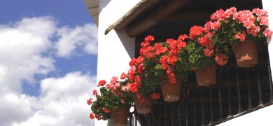 balcon macetas casa alpujarra granada andalucia