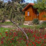 cabanas cortino salamanca naturaleza