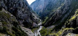 rio-cares-asturias-naturaleza