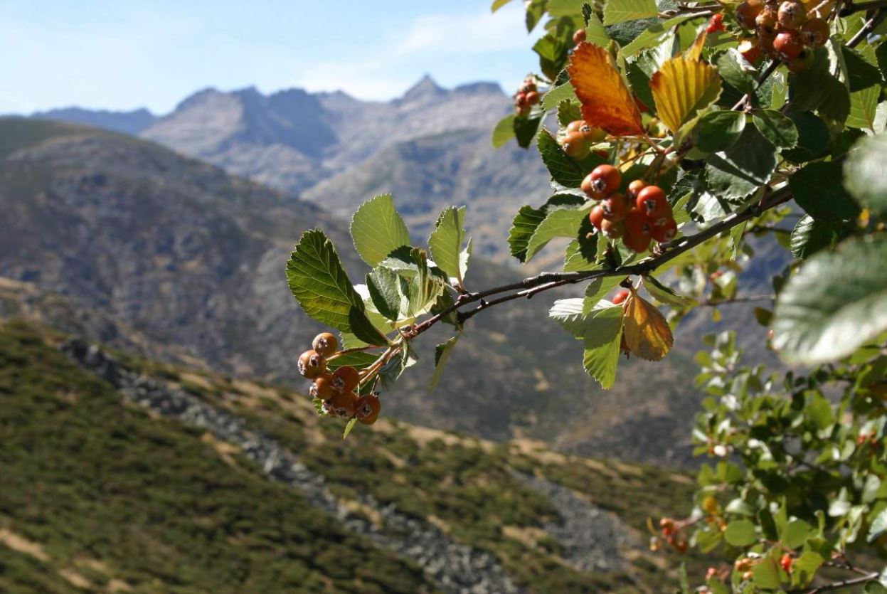 ¡Rodéate de naturaleza en la Sierra de Gredos!